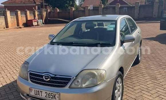 Nunua Ilio tumika Toyota Corolla Nyingine Gari ndani ya Bugiri nchini Mashariki