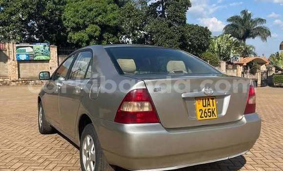 Acheter Occasion Voiture Toyota Corolla Autre à Bugiri, Est Acheter Occasion Voiture Toyota Corolla Autre à Bugiri, Est