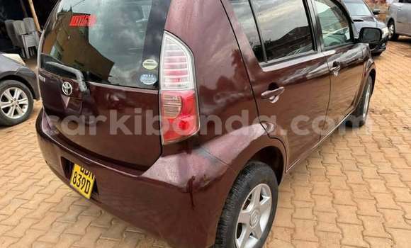 Acheter Occasion Voiture Toyota Passo Autre à Bugembe, Est Acheter Occasion Voiture Toyota Passo Autre à Bugembe, Est