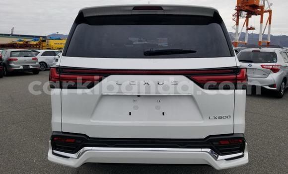 Buy New Lexus LX White Car in Kampala in Uganda Buy New Lexus LX White Car in Kampala in Uganda