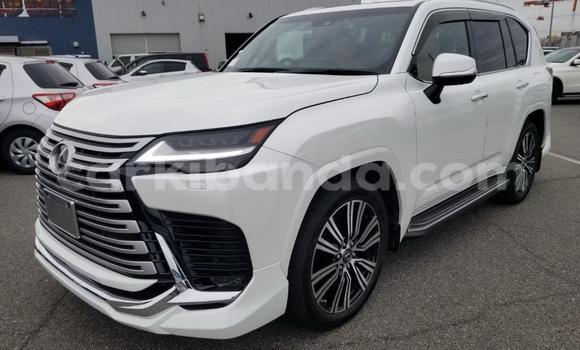Buy New Lexus LX White Car in Kampala in Uganda Buy New Lexus LX White Car in Kampala in Uganda