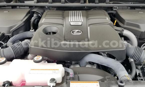 Buy New Lexus LX White Car in Kampala in Uganda Buy New Lexus LX White Car in Kampala in Uganda