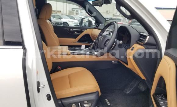 Buy New Lexus LX White Car in Kampala in Uganda Buy New Lexus LX White Car in Kampala in Uganda