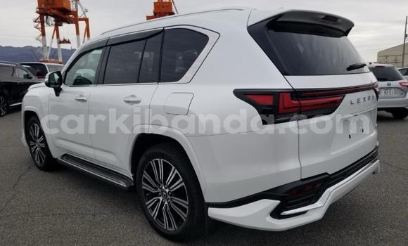 Buy New Lexus LX White Car in Kampala in Uganda Buy New Lexus LX White Car in Kampala in Uganda