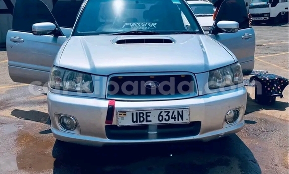 Acheter Occasion Voiture Subaru Forester Blanc à Bugiri, Est Acheter Occasion Voiture Subaru Forester Blanc à Bugiri, Est