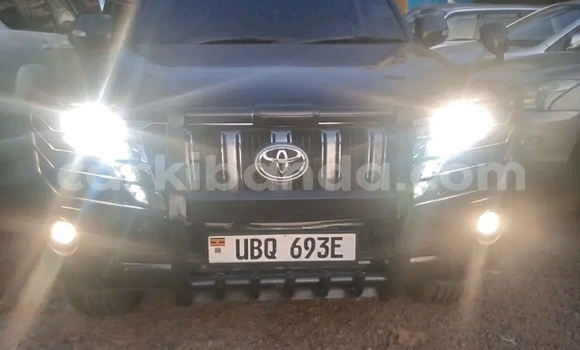 Acheter Occasion Voiture Toyota Land Cruiser Prado Noir à Bugiri, Est