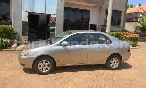 Acheter Occasion Voiture Toyota Corolla Autre à Bundibugyo, Occidental Acheter Occasion Voiture Toyota Corolla Autre à Bundibugyo, Occidental