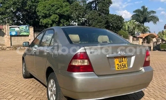 Acheter Occasion Voiture Toyota Corolla Autre à Bundibugyo, Occidental Acheter Occasion Voiture Toyota Corolla Autre à Bundibugyo, Occidental