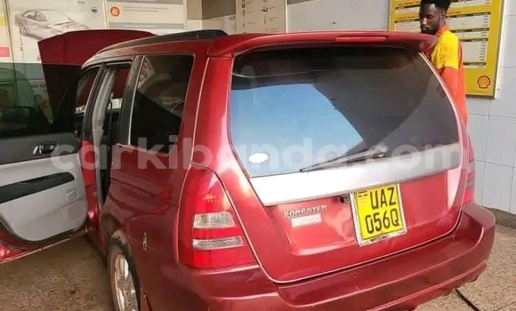 Acheter Occasion Voiture Subaru Forester Rouge à Bugiri, Est Acheter Occasion Voiture Subaru Forester Rouge à Bugiri, Est