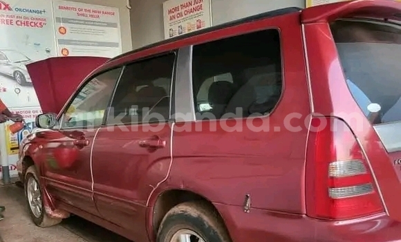Acheter Occasion Voiture Subaru Forester Rouge à Bugiri, Est Acheter Occasion Voiture Subaru Forester Rouge à Bugiri, Est