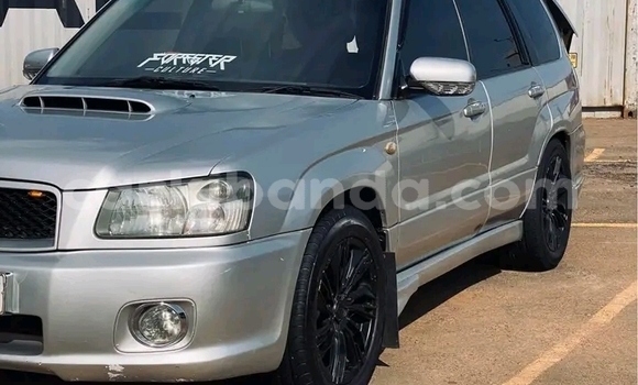 Acheter Occasion Voiture Subaru Forester Autre à Bundibugyo, Occidental Acheter Occasion Voiture Subaru Forester Autre à Bundibugyo, Occidental