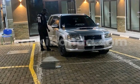 Acheter Occasion Voiture Subaru Forester Autre à Bundibugyo, Occidental Acheter Occasion Voiture Subaru Forester Autre à Bundibugyo, Occidental