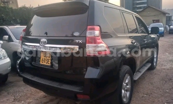 Acheter Occasion Voiture Toyota Land Cruiser Prado Noir à Bundibugyo, Occidental Acheter Occasion Voiture Toyota Land Cruiser Prado Noir à Bundibugyo, Occidental
