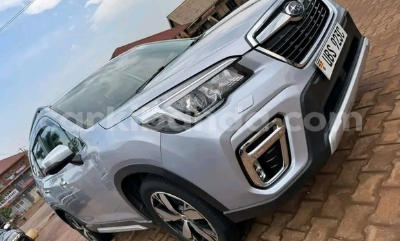 Nunua Ilio tumika Subaru Forester Nyingine Gari ndani ya Bugiri nchini Mashariki