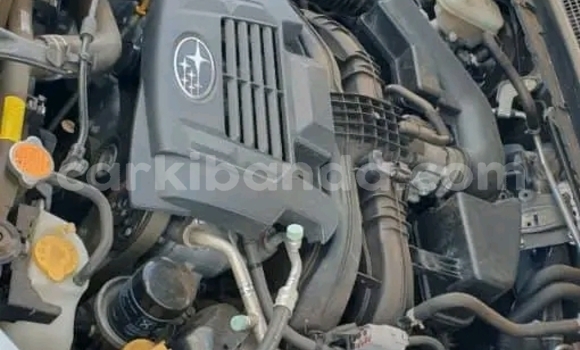 Acheter Occasion Voiture Subaru Forester Autre à Bugiri, Est Acheter Occasion Voiture Subaru Forester Autre à Bugiri, Est