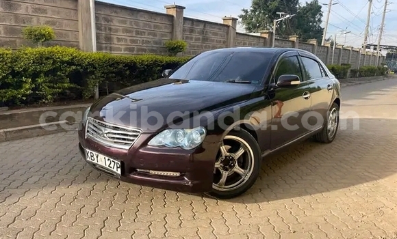 Acheter Occasion Voiture Toyota Mark X Noir à Adjumani, Nord Acheter Occasion Voiture Toyota Mark X Noir à Adjumani, Nord