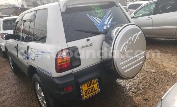 Nunua Ilio tumika Toyota RAV4 Nyingine Gari ndani ya Bugiri nchini Mashariki
