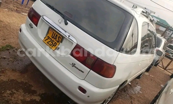 Nunua Ilio tumika Toyota Ipsum Nyeupe Gari ndani ya Buwenge nchini Mashariki