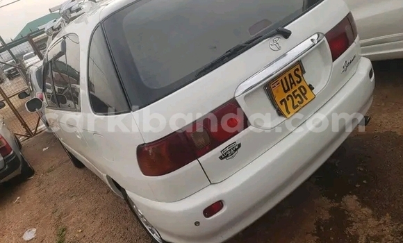 Acheter Occasion Voiture Toyota Ipsum Blanc à Buwenge, Est Acheter Occasion Voiture Toyota Ipsum Blanc à Buwenge, Est