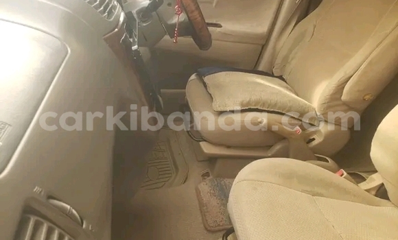 Acheter Occasion Voiture Toyota Ipsum Blanc à Buwenge, Est Acheter Occasion Voiture Toyota Ipsum Blanc à Buwenge, Est