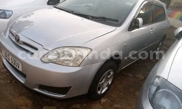 Nunua Ilio tumika Toyota Allex Nyingine Gari ndani ya Bundibugyo nchini Magharibi