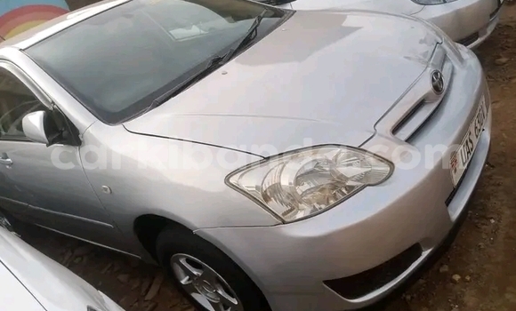 Acheter Occasion Voiture Toyota Allex Autre à Bundibugyo, Occidental Acheter Occasion Voiture Toyota Allex Autre à Bundibugyo, Occidental