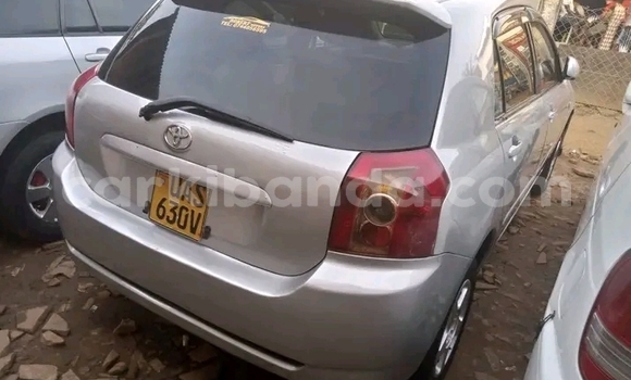 Acheter Occasion Voiture Toyota Allex Autre à Bundibugyo, Occidental Acheter Occasion Voiture Toyota Allex Autre à Bundibugyo, Occidental