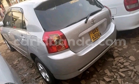 Acheter Occasion Voiture Toyota Allex Autre à Bundibugyo, Occidental Acheter Occasion Voiture Toyota Allex Autre à Bundibugyo, Occidental