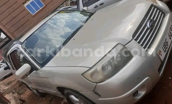 Gura Yakoze Subaru Forester Other Imodoka i Bugiri mu Eastern Gura Yakoze Subaru Forester Other Imodoka i Bugiri mu Eastern