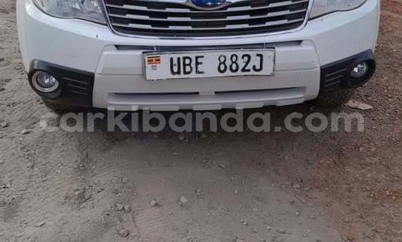 Buy Used Subaru Ascent Other Car in Kampala in Uganda