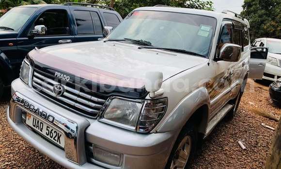 Acheter Occasion Voiture Toyota Land Cruiser Blanc à Bundibugyo, Occidental Acheter Occasion Voiture Toyota Land Cruiser Blanc à Bundibugyo, Occidental