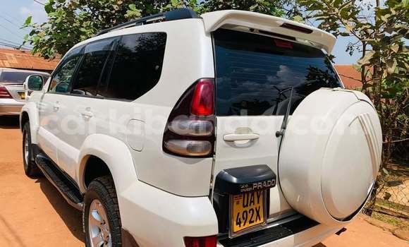 Acheter Occasion Voiture Toyota Land Cruiser Prado Blanc à Bugiri, Est Acheter Occasion Voiture Toyota Land Cruiser Prado Blanc à Bugiri, Est
