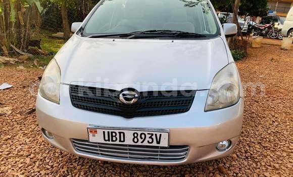 Acheter Occasion Voiture Toyota Spacio Autre à Bundibugyo, Occidental Acheter Occasion Voiture Toyota Spacio Autre à Bundibugyo, Occidental