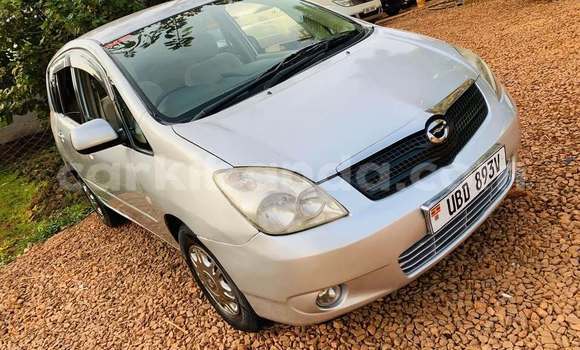 Acheter Occasion Voiture Toyota Spacio Autre à Bundibugyo, Occidental Acheter Occasion Voiture Toyota Spacio Autre à Bundibugyo, Occidental