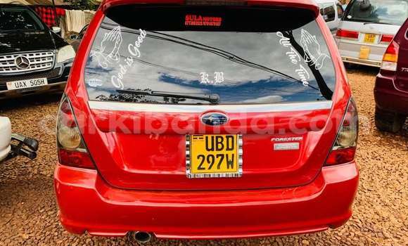 Buy Used Subaru Baja Red Car in Kampala in Uganda