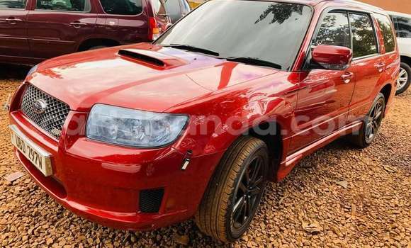 Acheter Occasion Voiture Subaru Baja Rouge à Kampala, Ouganda Acheter Occasion Voiture Subaru Baja Rouge à Kampala, Ouganda