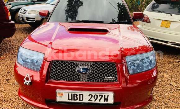 Acheter Occasion Voiture Subaru Baja Rouge à Kampala, Ouganda Acheter Occasion Voiture Subaru Baja Rouge à Kampala, Ouganda