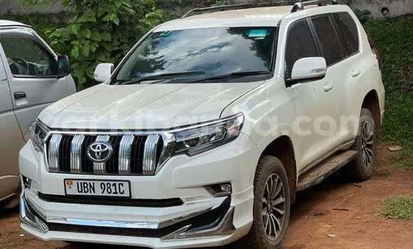 Buy Used Toyota Land Cruiser White Car in Kampala in Uganda