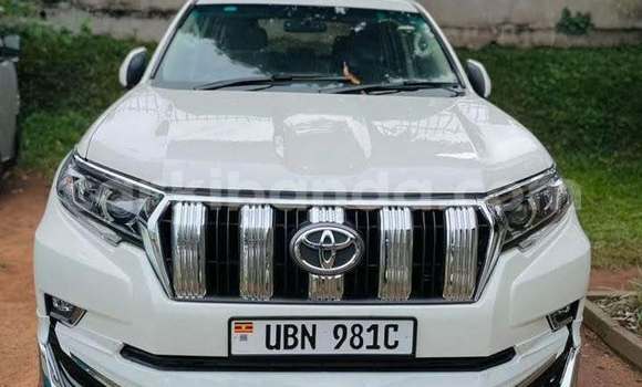 Acheter Occasion Voiture Toyota Land Cruiser Blanc à Kampala, Ouganda Acheter Occasion Voiture Toyota Land Cruiser Blanc à Kampala, Ouganda