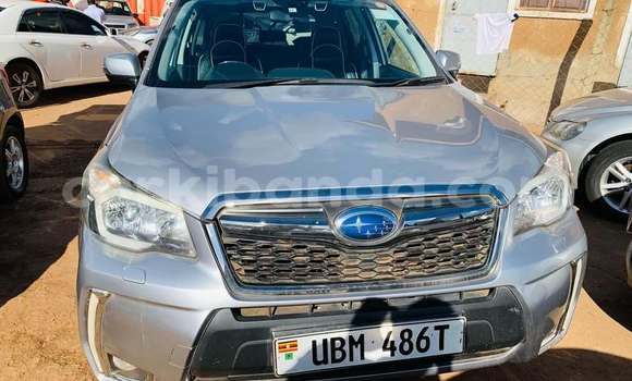 Buy Used Subaru XT Other Car in Kampala in Uganda