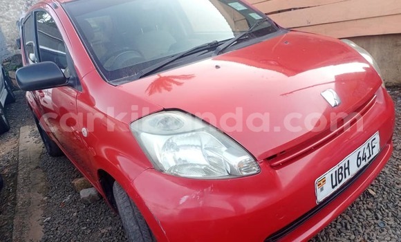 Buy Used Toyota Passo Red Car in Kampala in Uganda