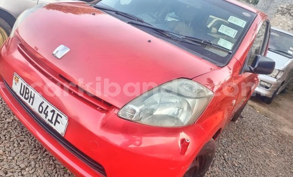 Buy Used Toyota Passo Red Car in Kampala in Uganda Buy Used Toyota Passo Red Car in Kampala in Uganda