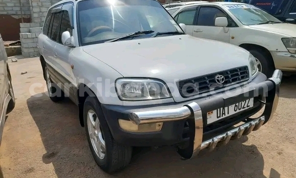 Buy Used Toyota RAV4 White Car in Bundibugyo in Western Buy Used Toyota RAV4 White Car in Bundibugyo in Western