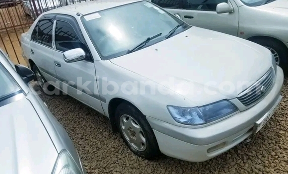 Buy Used Toyota Premio White Car in Jinja–Kawempe in Central Buy Used Toyota Premio White Car in Jinja–Kawempe in Central