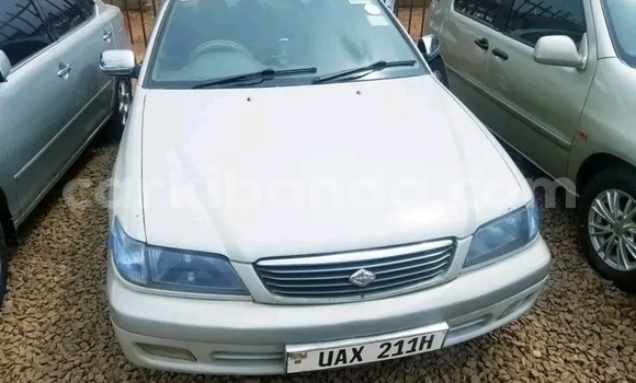 Buy Used Toyota Premio White Car in Jinja–Kawempe in Central Buy Used Toyota Premio White Car in Jinja–Kawempe in Central