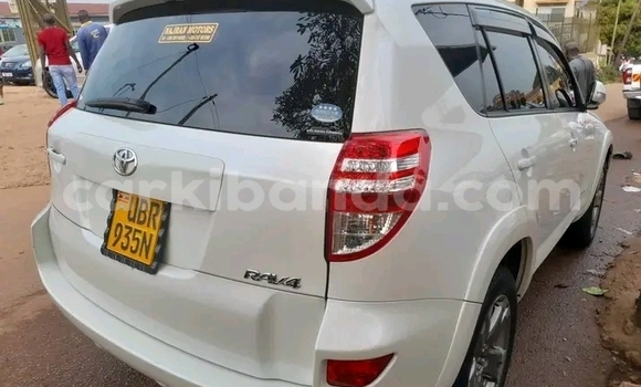 Gura Yakoze Toyota RAV4 Other Imodoka i Jinja mu Uganda Gura Yakoze Toyota RAV4 Other Imodoka i Jinja mu Uganda