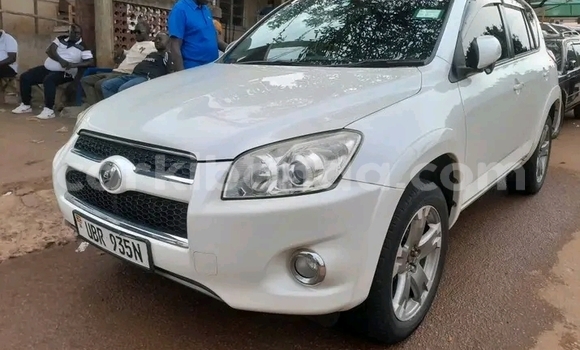 Gura Yakoze Toyota RAV4 Other Imodoka i Jinja mu Uganda Gura Yakoze Toyota RAV4 Other Imodoka i Jinja mu Uganda
