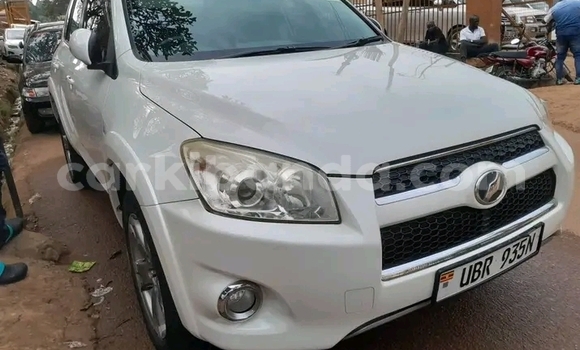 Gura Yakoze Toyota RAV4 Other Imodoka i Jinja mu Uganda Gura Yakoze Toyota RAV4 Other Imodoka i Jinja mu Uganda
