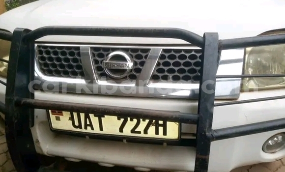 Buy Used Nissan Hardbody White Car in Hoima in Uganda