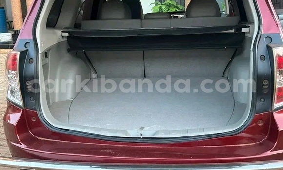Buy Used Subaru Forester Red Car in Iganga in Uganda Buy Used Subaru Forester Red Car in Iganga in Uganda